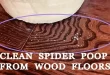 How to Clean Spider Poop from Wood Floors?